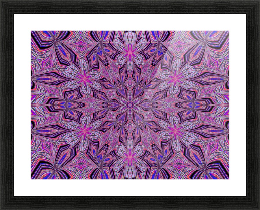 Daylily Garden Picture Frame print