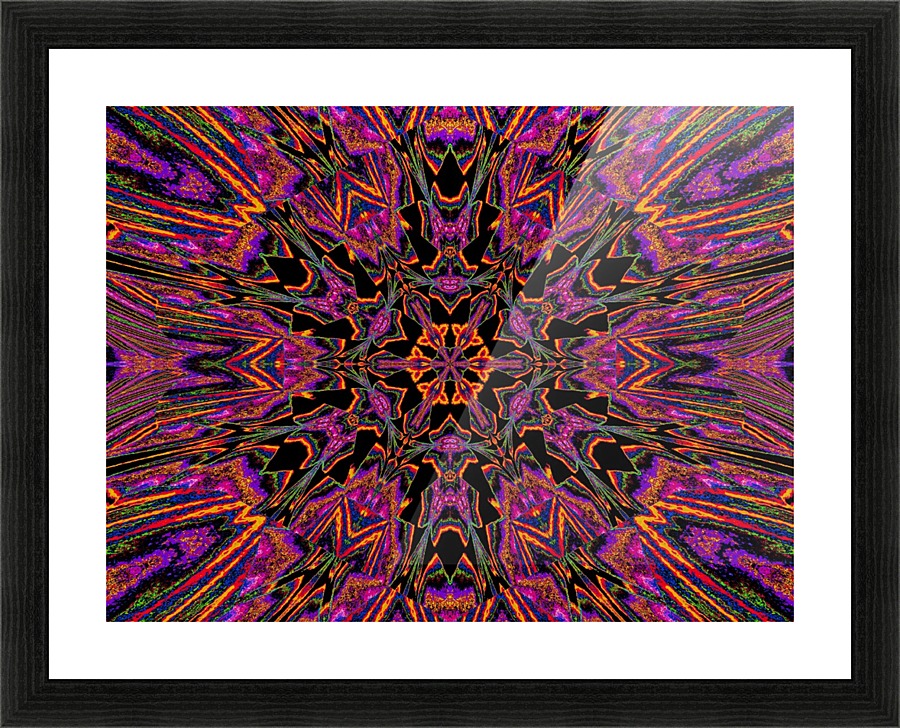 Black Daylily Picture Frame print