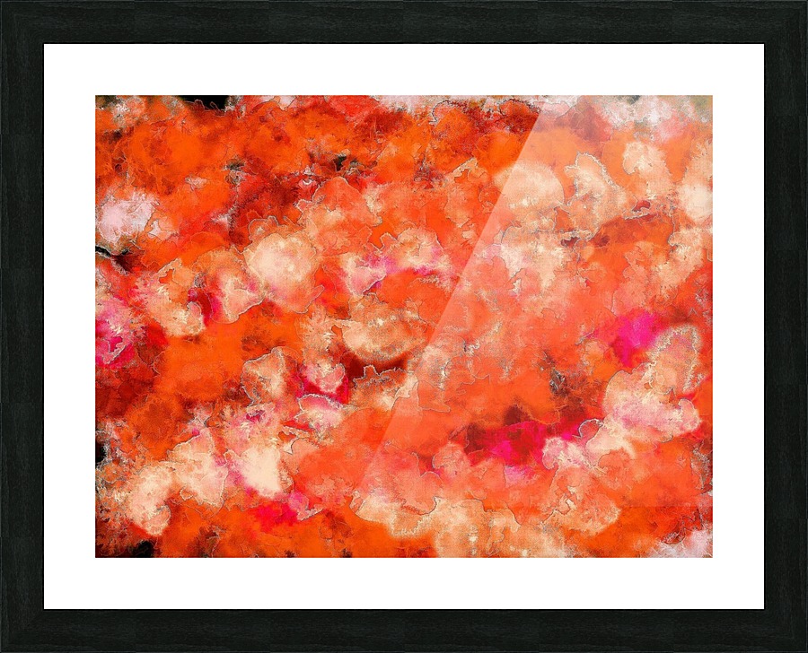 Orange Fluff  Picture Frame print