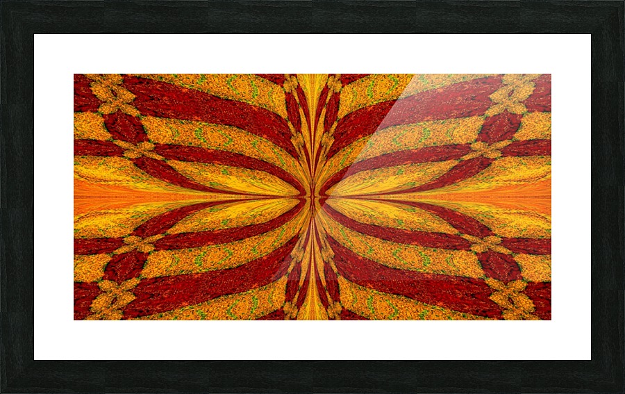 Meadow Butterfly In Fall Picture Frame print