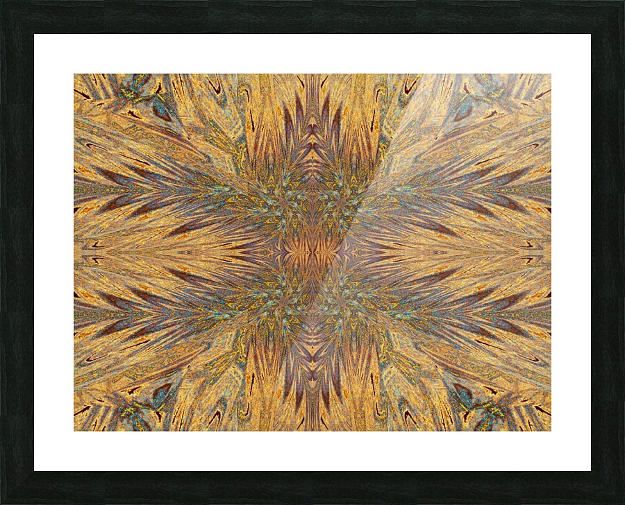 Feather Butterfly Picture Frame print