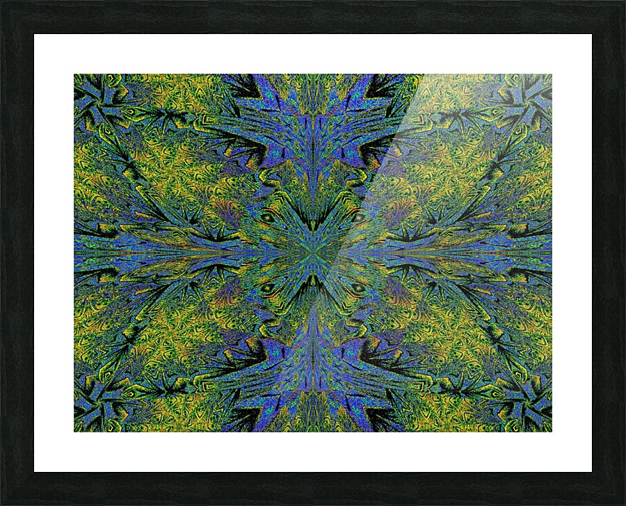 Nature Butterfly Picture Frame print