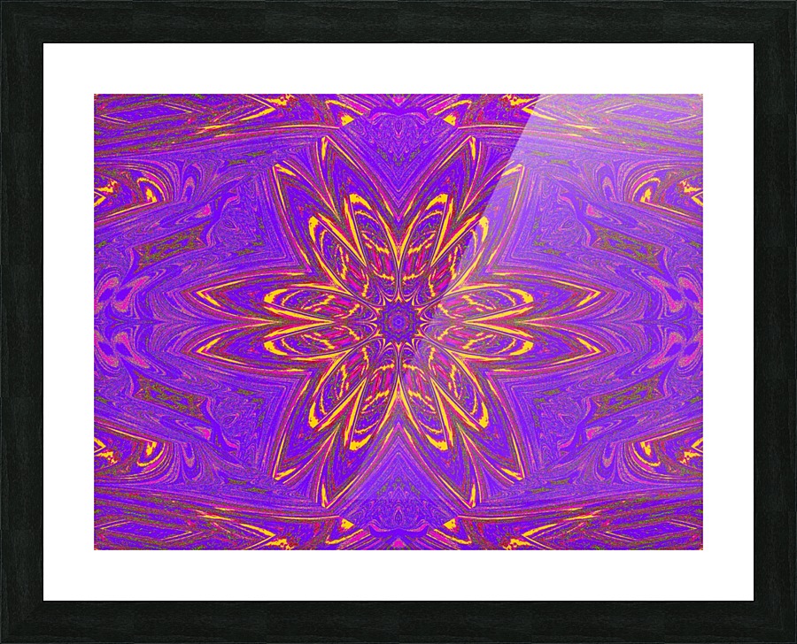 Orange Purple Daisy Picture Frame print