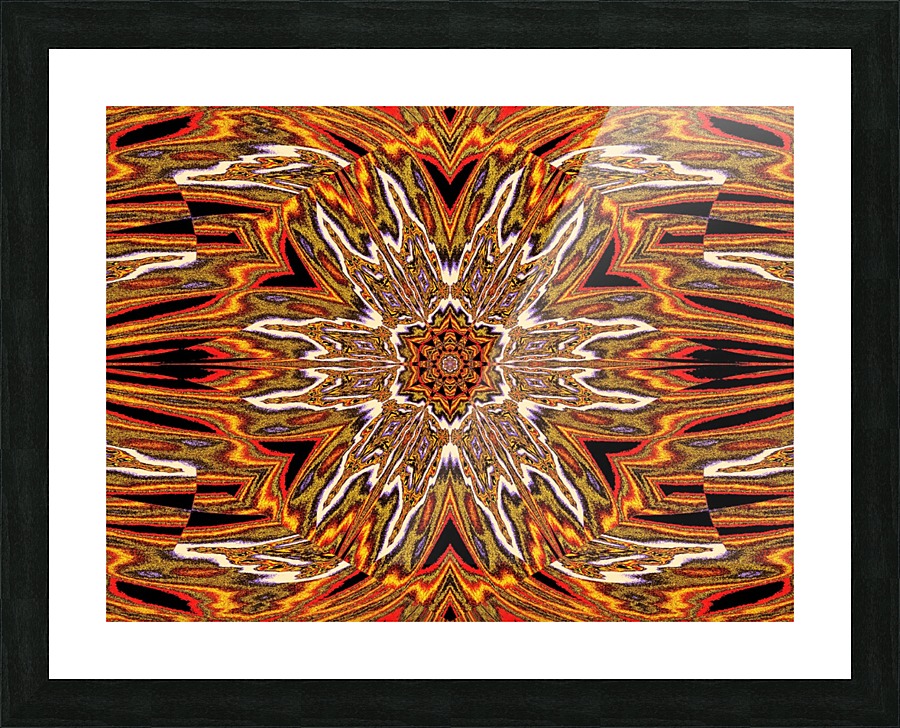 Orange White Plumerias Picture Frame print