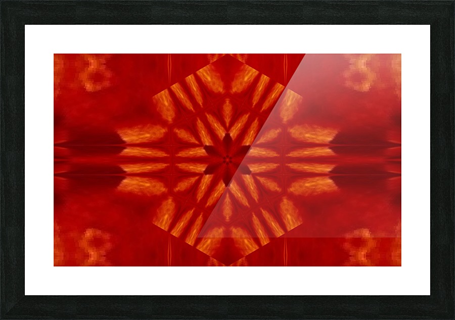 Scarlet Lily 1 Picture Frame print