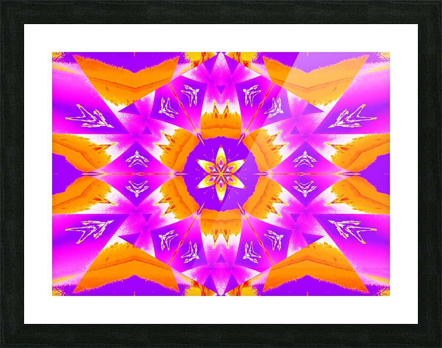 Synergy Jasmine 12 Picture Frame print