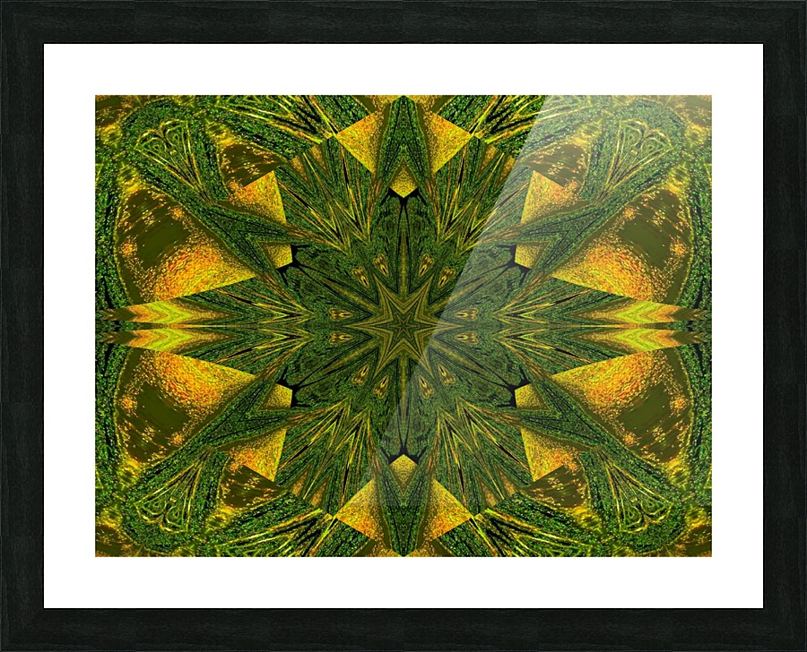 Green Sunshine Flower Picture Frame print