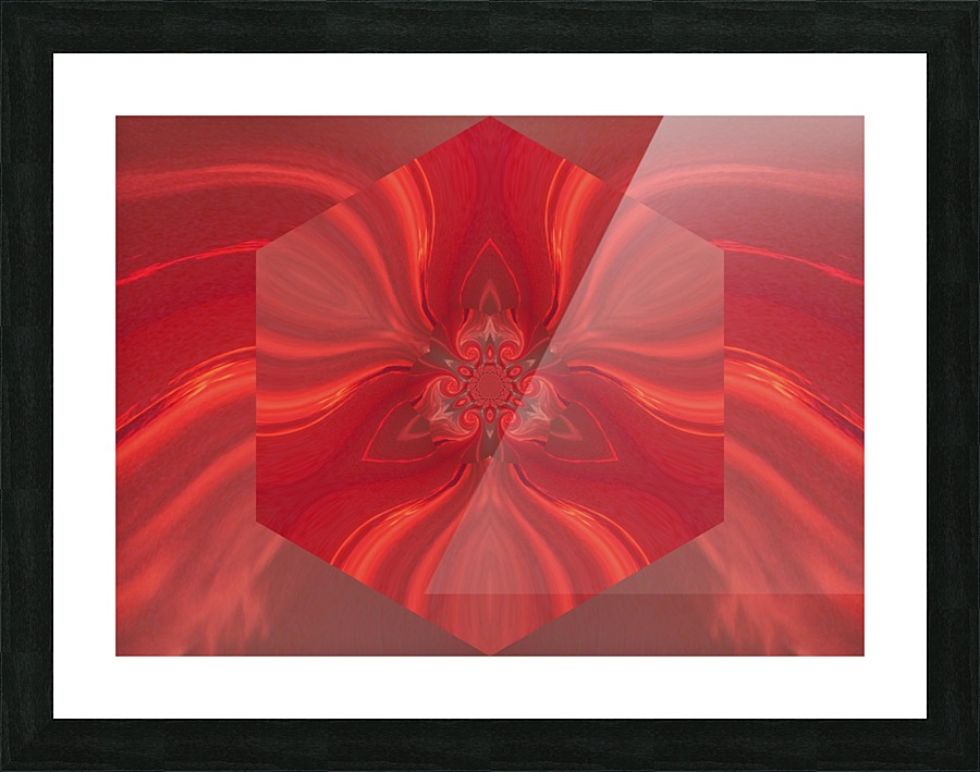 Phoenix Flower 1 Picture Frame print