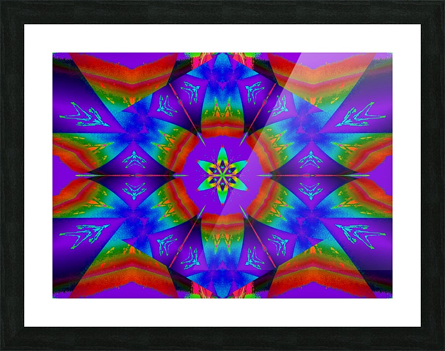 Rainbow Aurora Wildflower Picture Frame print