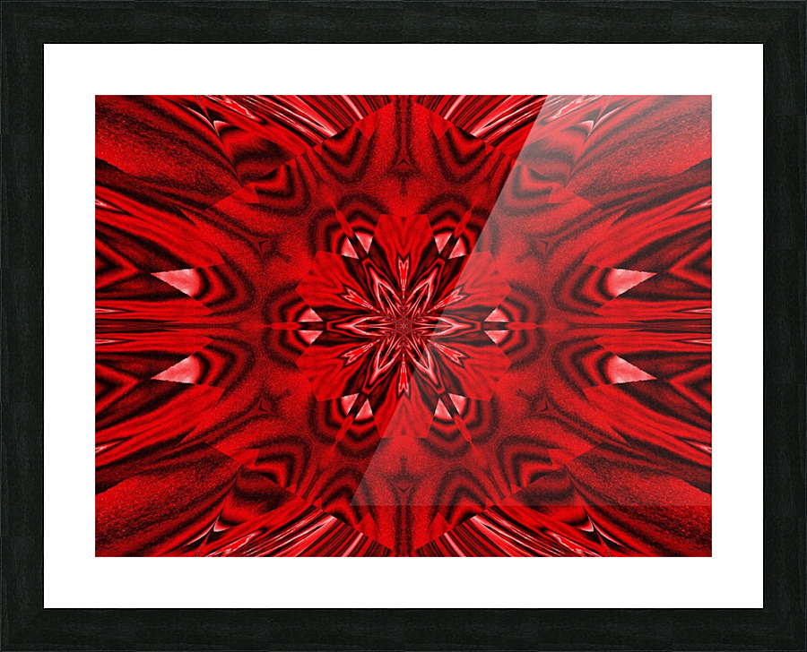 Red Dahlia Picture Frame print
