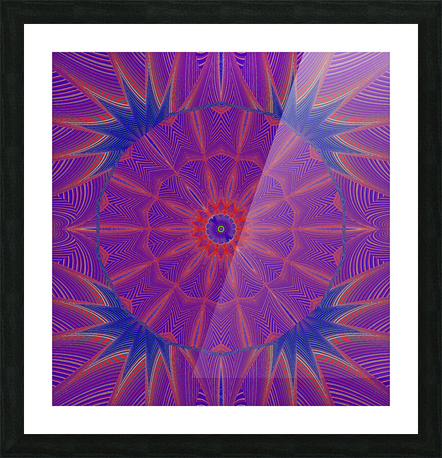 Blooming At Night Picture Frame print