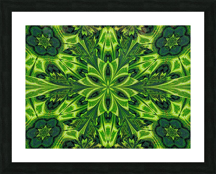 Green Lotus Picture Frame print
