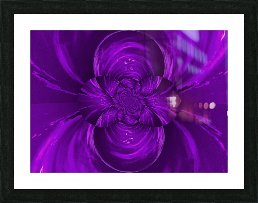 Purple Lotus  Picture Frame print