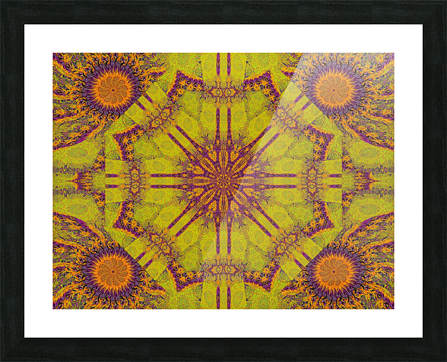Calming Lotus Picture Frame print