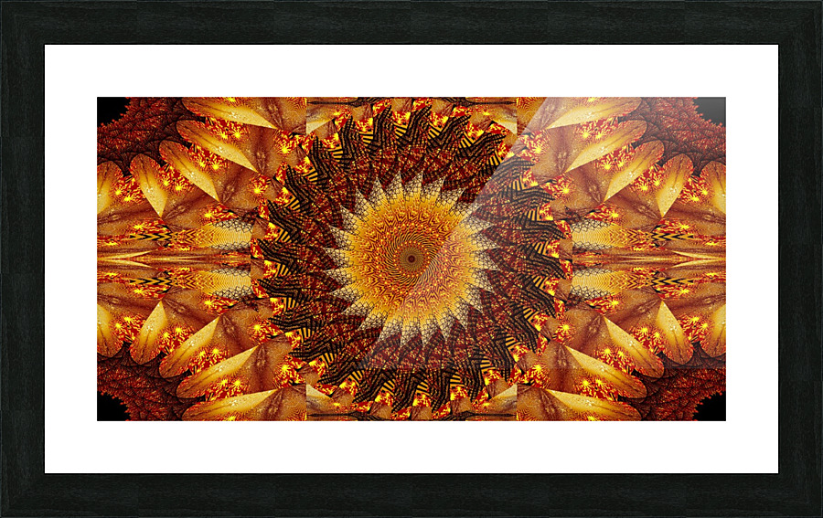 Lotus Birth 2 Picture Frame print