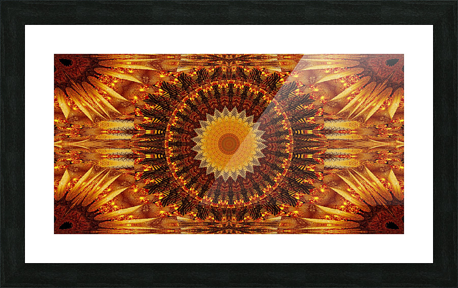 Lotus Birth 3 Picture Frame print