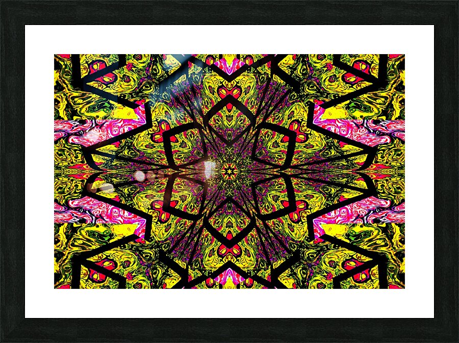 Tangled Lotus 5 Picture Frame print