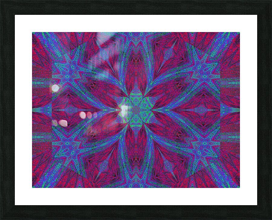 Wonder Lotus Picture Frame print