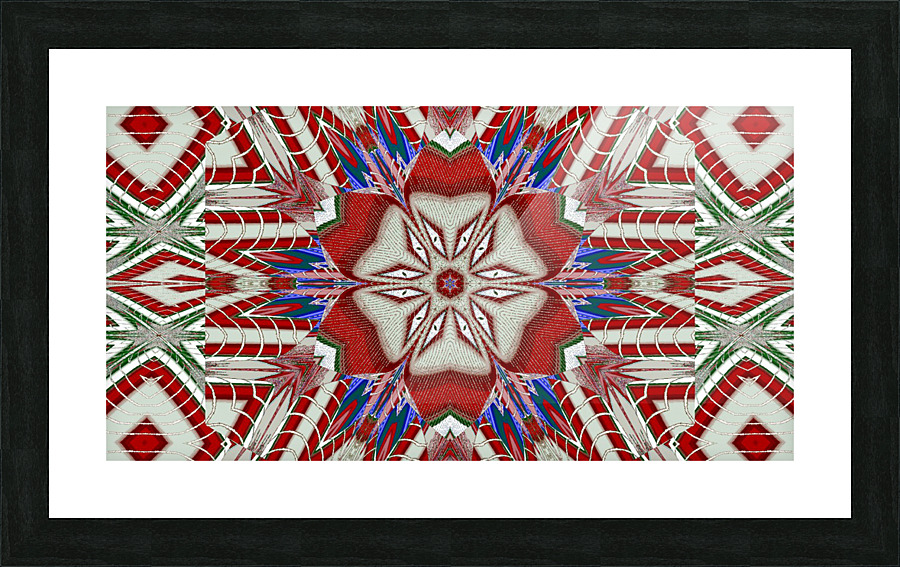 Plastic Lotus 8 Picture Frame print