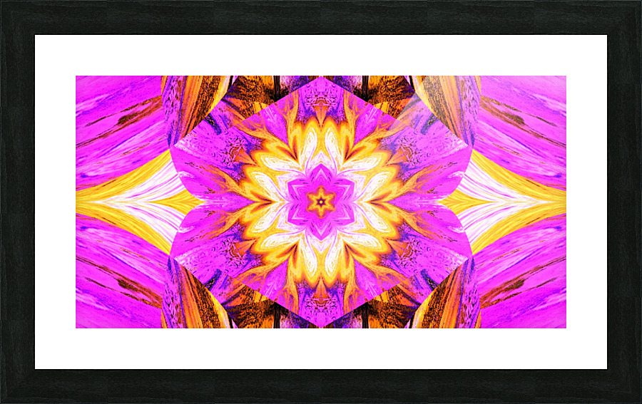 Painted Lotus 1 Picture Frame print