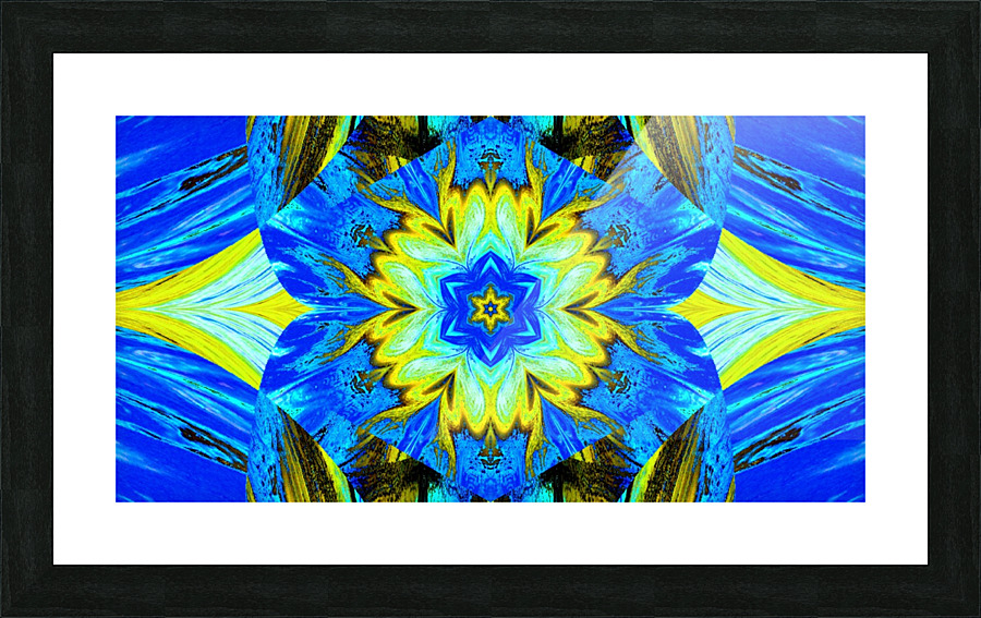 Painted Lotus 3 Picture Frame print