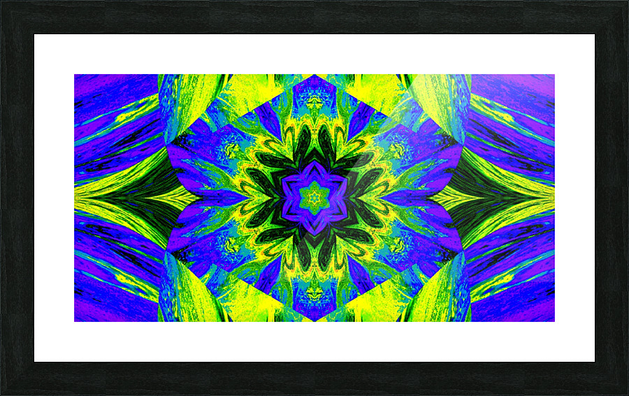 Painted Lotus 4 Picture Frame print