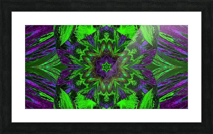 Painted Lotus 10 Picture Frame print