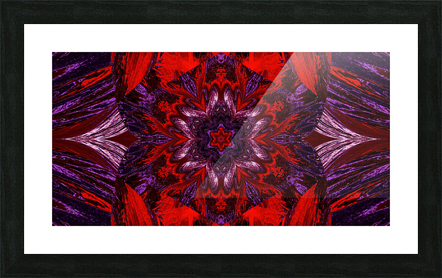 Painted Lotus 11 Picture Frame print