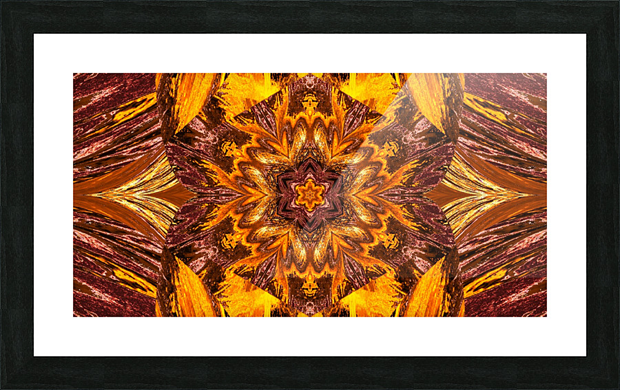 Painted Lotus 16 Picture Frame print