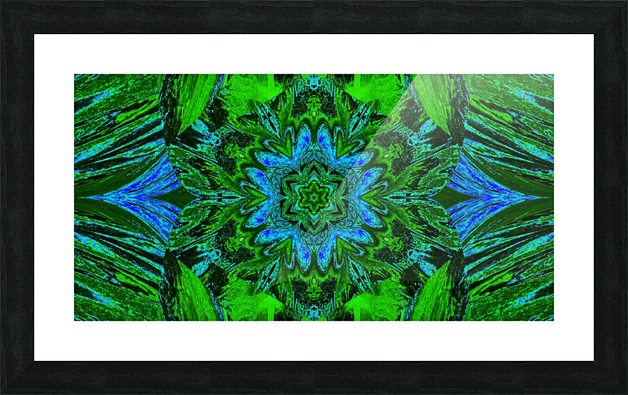 Painted Lotus 26 Picture Frame print