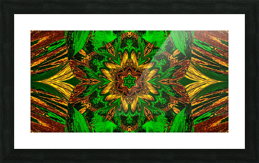 Painted Lotus 28 Picture Frame print