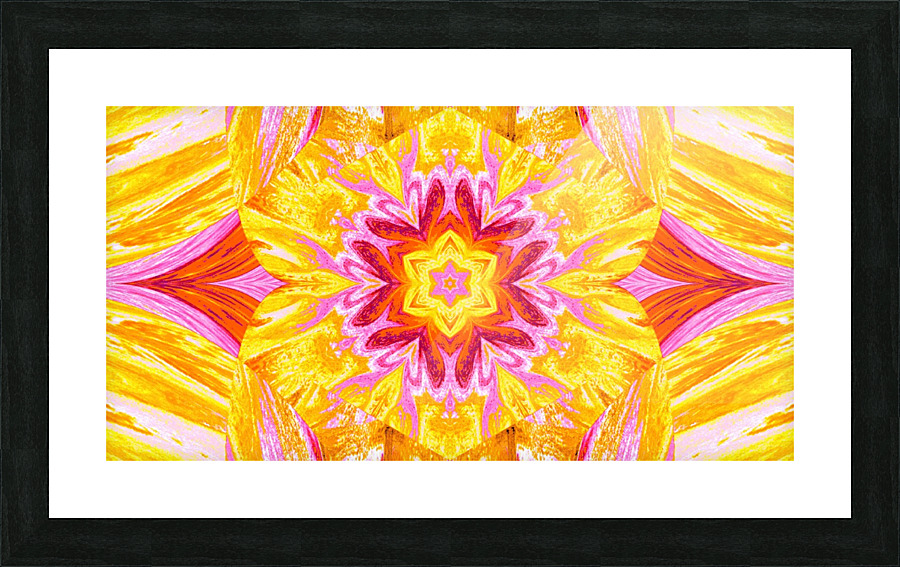 Painted Lotus 29 Picture Frame print