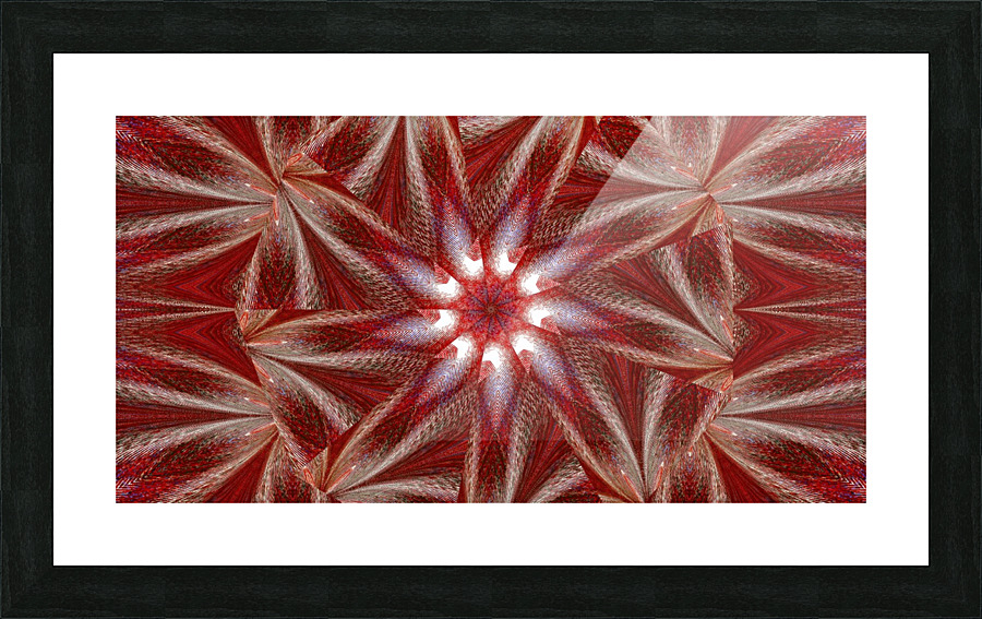 White Lotus 10 Picture Frame print