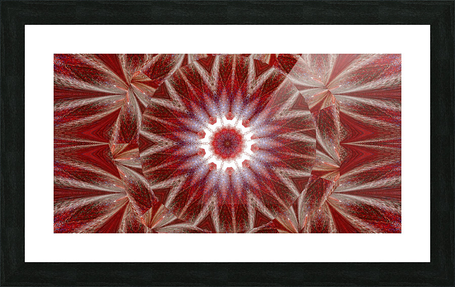 White Lotus 11 Picture Frame print