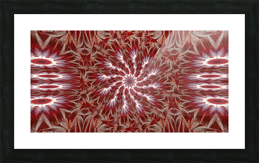 White Lotus 13 Picture Frame print
