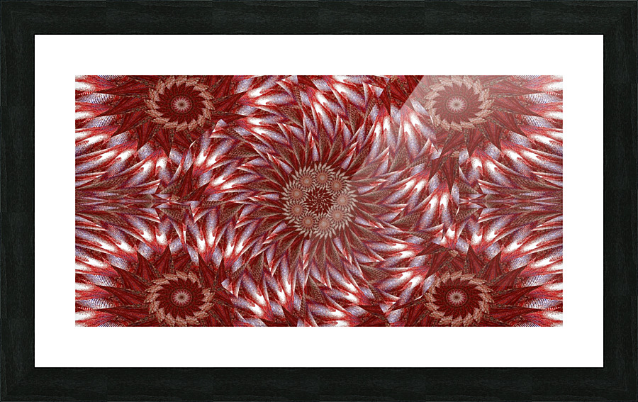 White Lotus 17 Picture Frame print