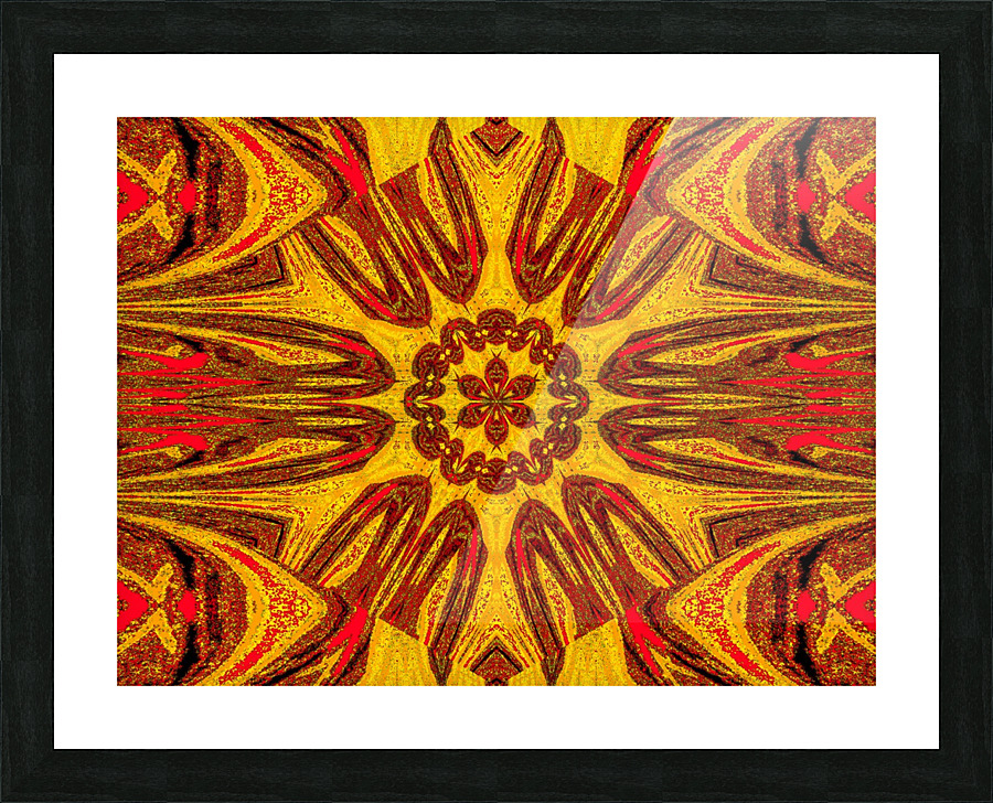 Reflected Lotus 11 Picture Frame print
