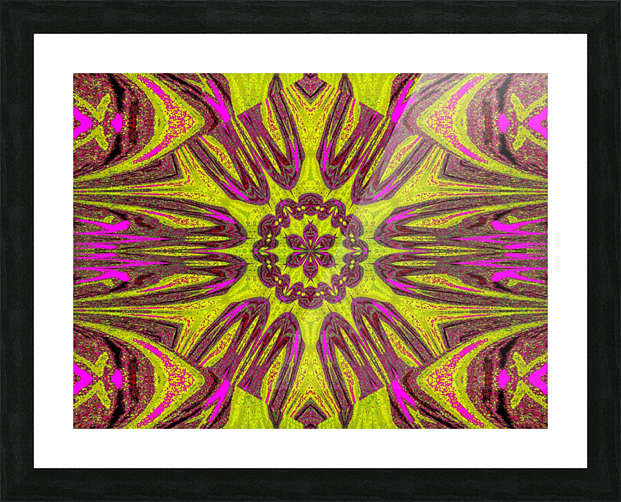 Reflected Lotus 13 Picture Frame print