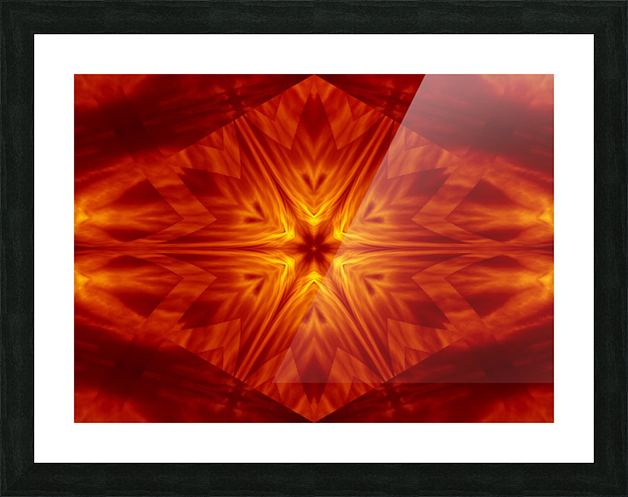 Fire Flowers 1 Picture Frame print