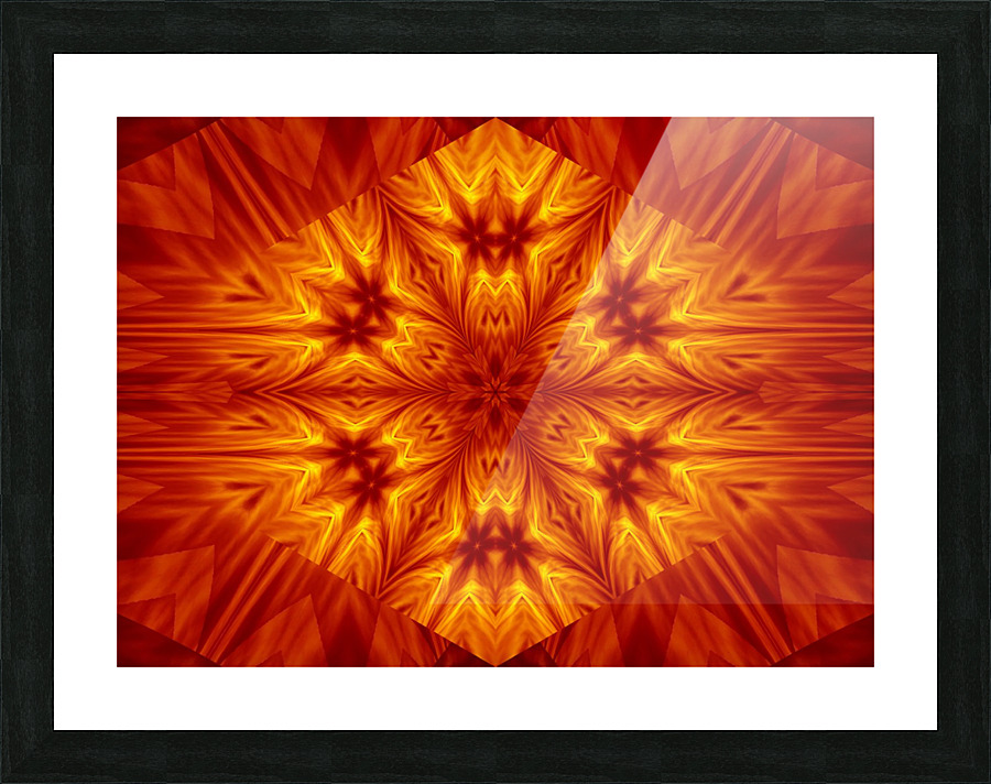 Fire Flowers 4 Picture Frame print