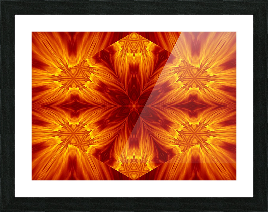 Fire Flowers 5 Picture Frame print