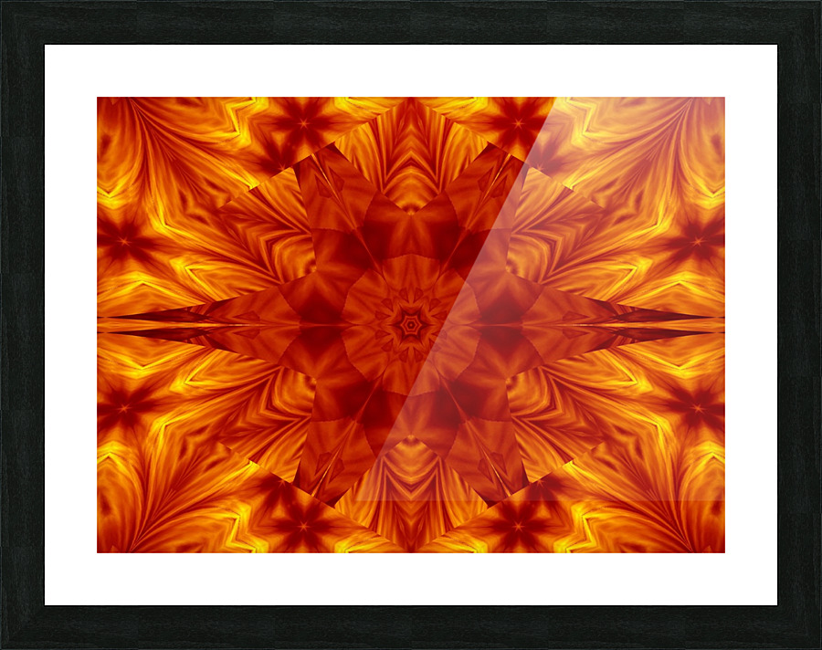 Fire Flowers 6 Picture Frame print