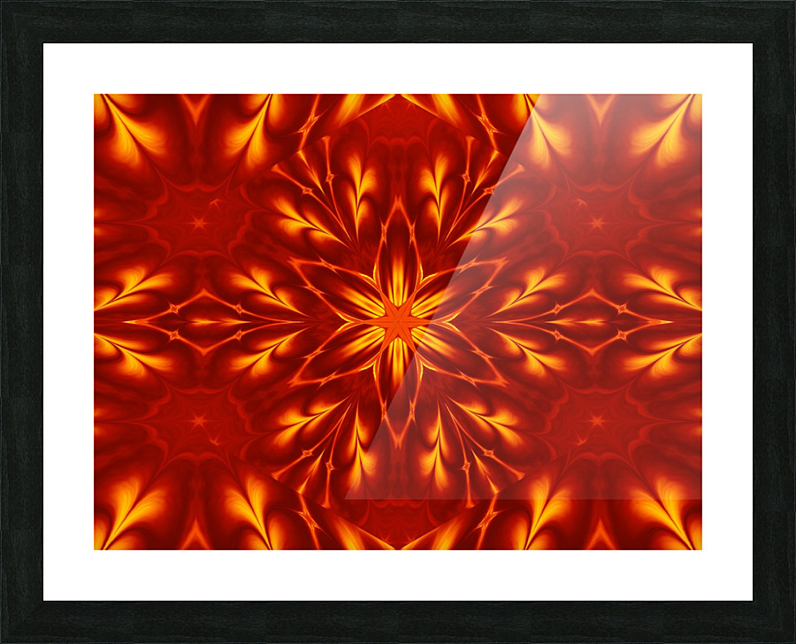 Fire Flowers 9 Picture Frame print