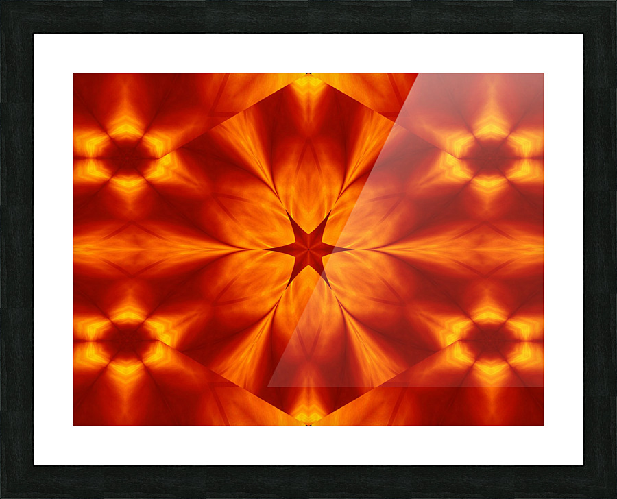 Fire Flowers 15 Picture Frame print