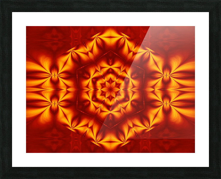 Fire Flowers 17 Picture Frame print