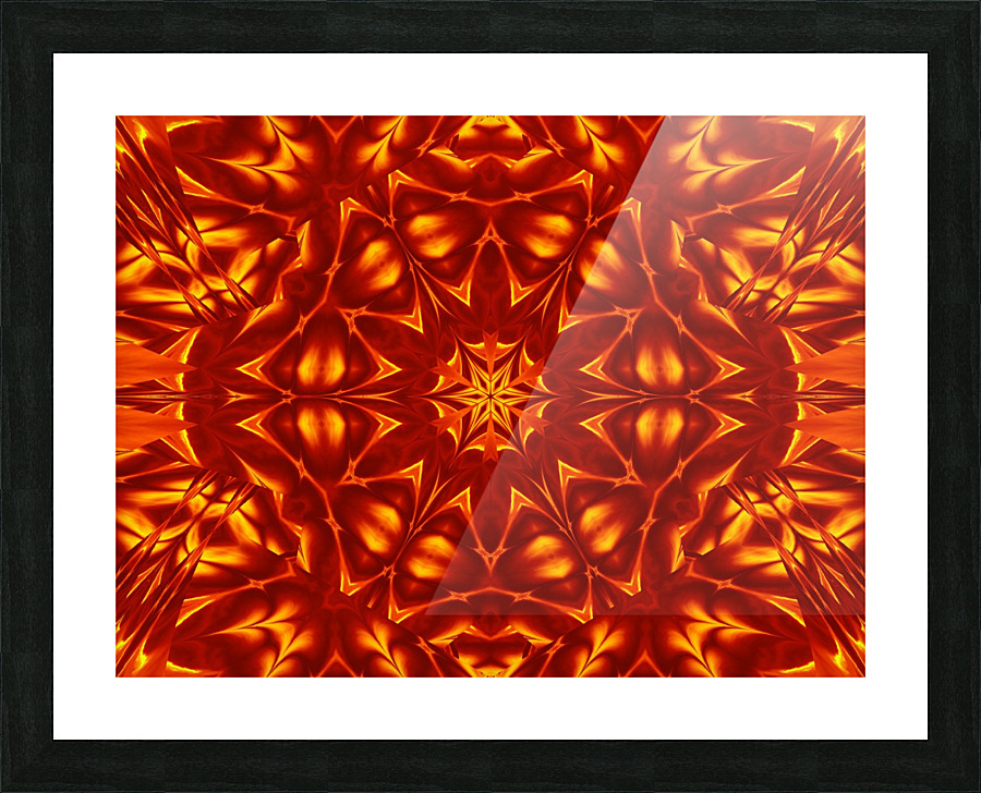 Fire Flowers 19 Picture Frame print
