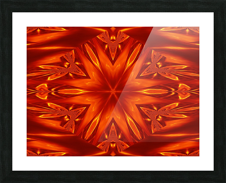 Fire Flowers 22 Picture Frame print