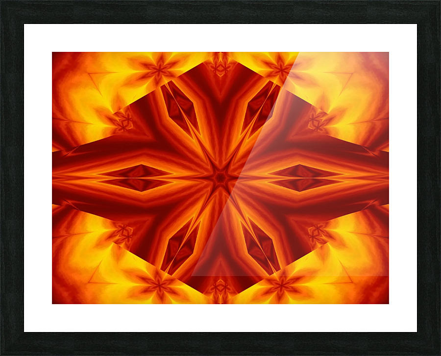 Fire Flowers 28 Picture Frame print