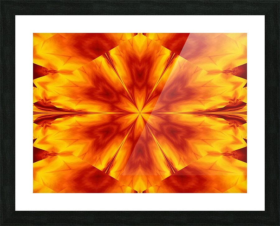 Fire Flowers 29 Picture Frame print
