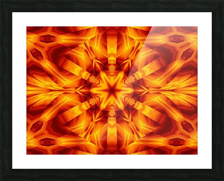 Fire Flowers 31 Picture Frame print